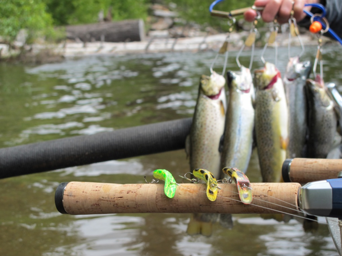 Trolling for brook trout on ponds and lakes: 14 tips to increase your catch