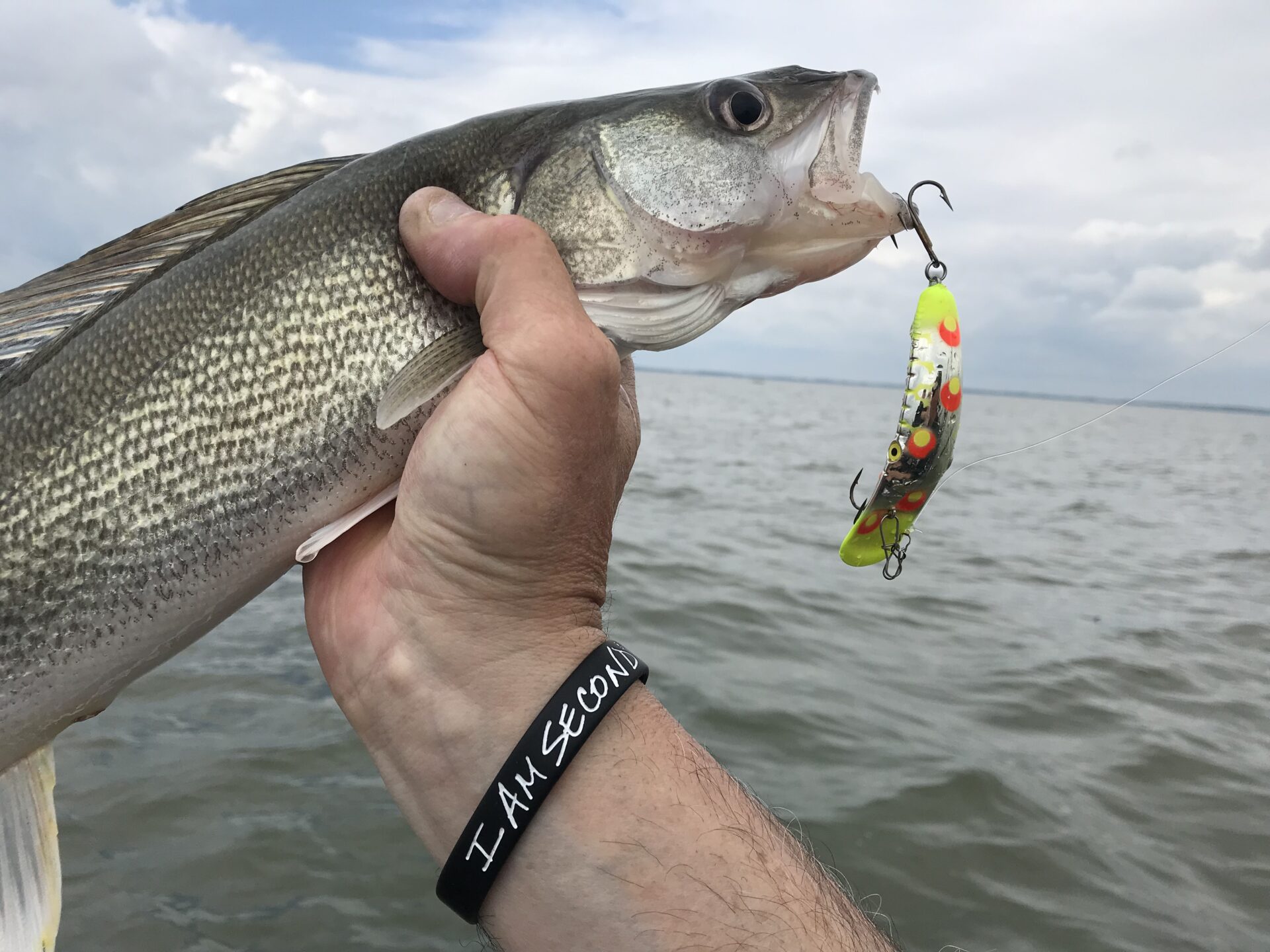 Walleye Fishing Lures - Jig Baits