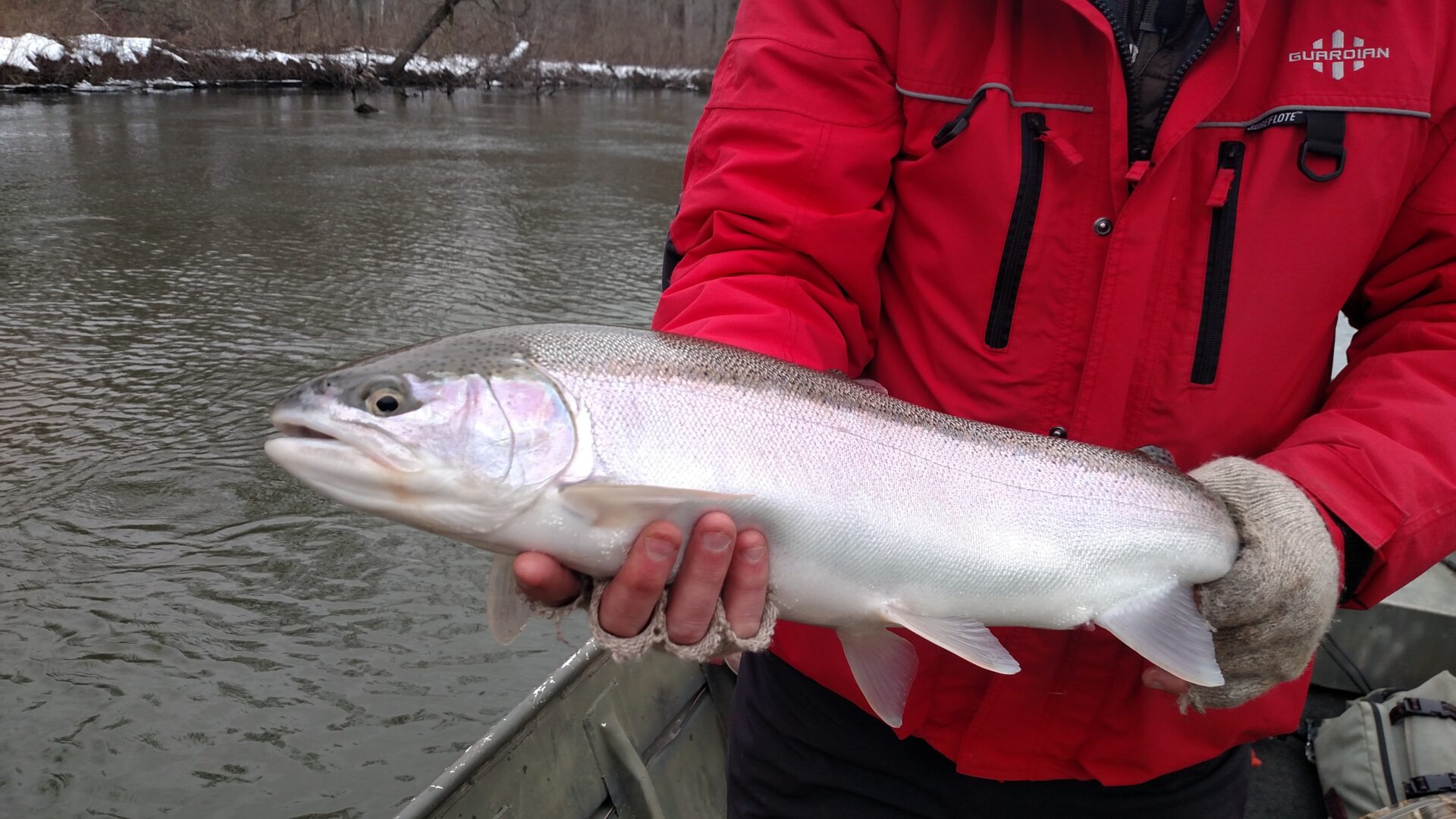 It's time for steelhead fishing to improve in many Michigan spots 