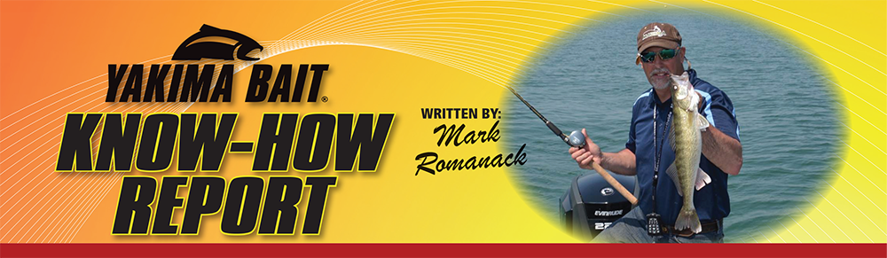 Walleye and the High-Action Plug Bite by Mark Romanack (Fishing