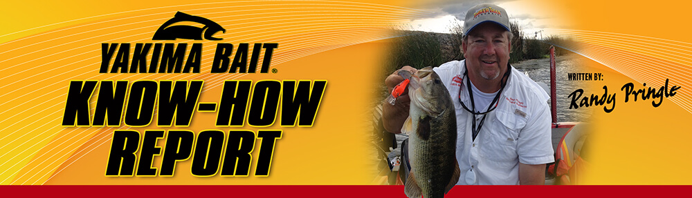 Bass Fishing PDF: Learn How to Catch Bass